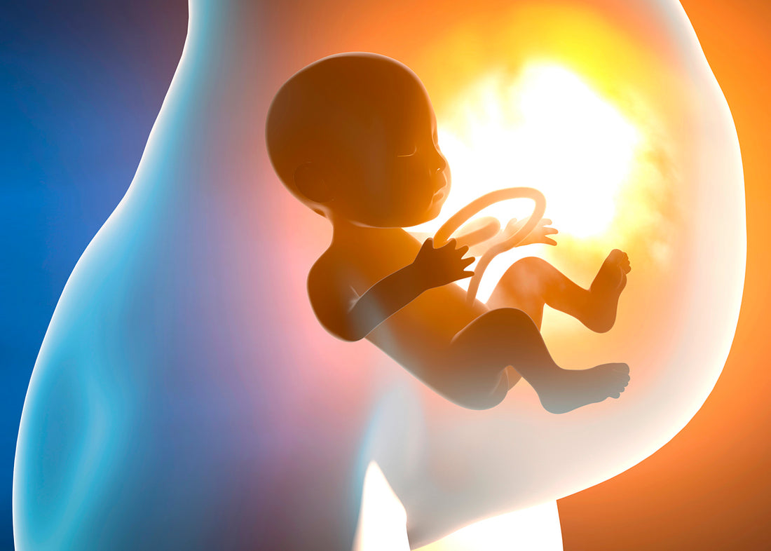 Will Babies Poop in the Womb? The Fascinating Truth Revealed