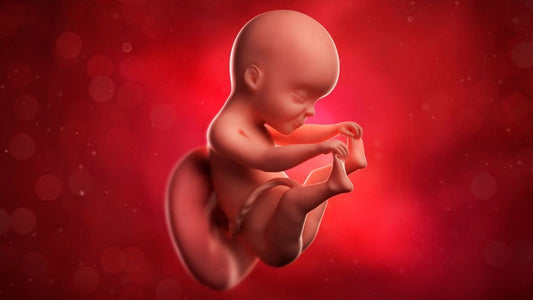 Decoding Pregnancy: Understanding Baby Weight at 32 Weeks vs 34 Weeks