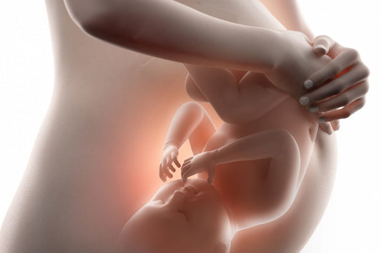Exploring the Womb: Deciphering Fetal Movements During Pregnancy