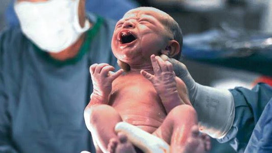 The Symphony of Tears: Deciphering the Language of Newborn Cries