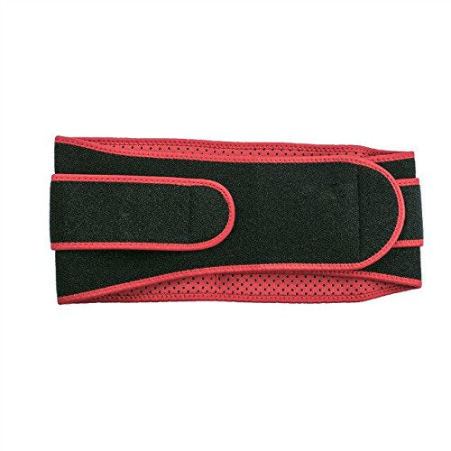 Medium-Back-Belt-for-Waist-29-36-Importikaah-Support